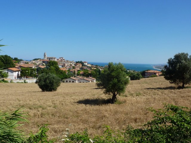 2015